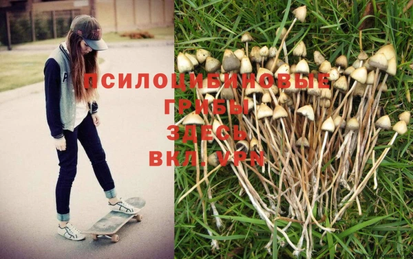 трава Приозерск