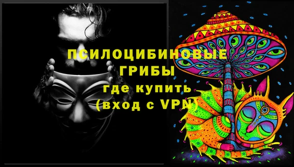 a pvp Протвино