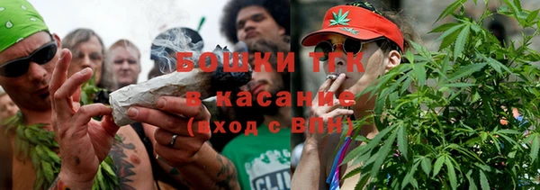 PSILOCYBIN Валуйки